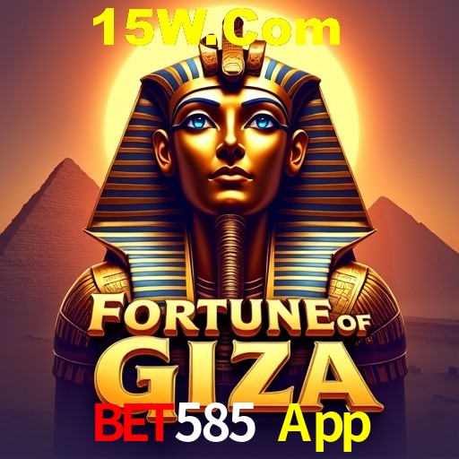 Descubra a Essência do Bet585 App: Nossa História e Compromissos
